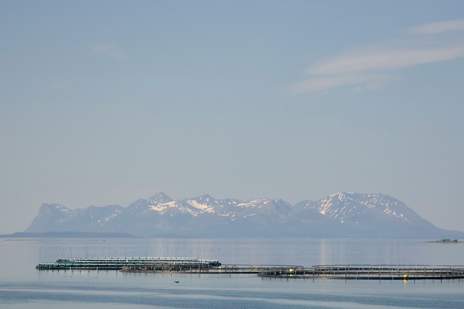 Salmon sea cages in calm water, snow-capped mountains behind